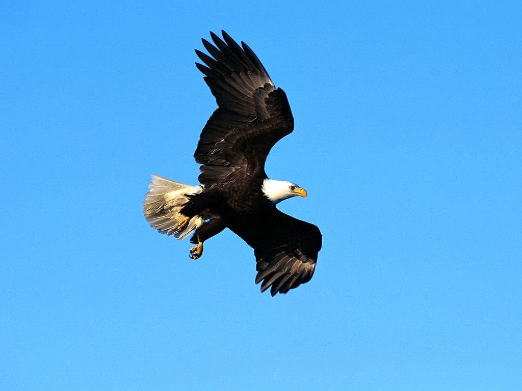 鼠标滑过缩略图时放大图片（纯Css）