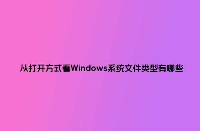 从打开方式看Windows系统文件类型有哪些