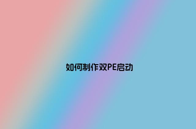 如何制作双PE启动
