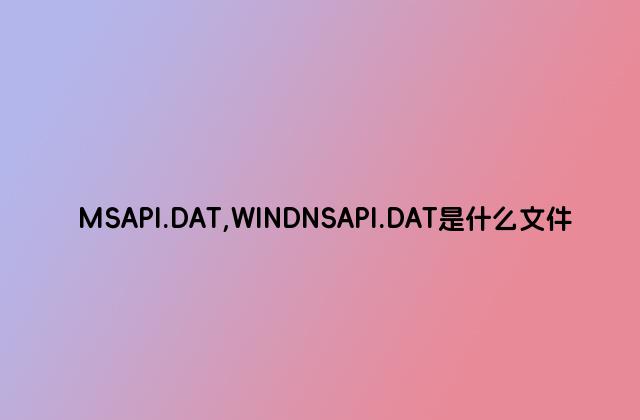 MSAPI.DAT,WINDNSAPI.DAT是什么文件