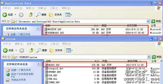 MSAPI.DAT,WINDNSAPI.DAT是什么文件